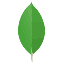 MongoDB